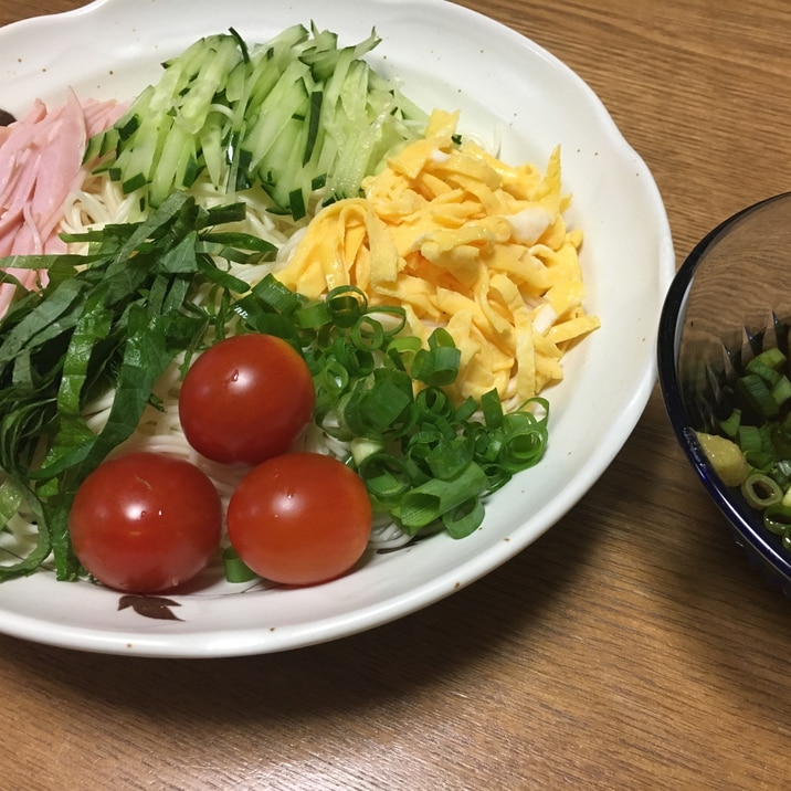 具沢山の5色そうめん